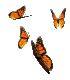 butterflies - graphic by Software Partners
